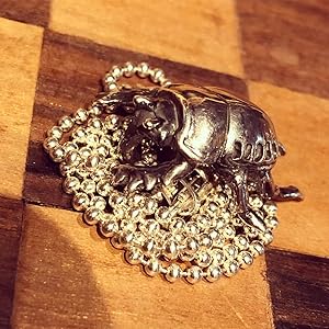 Amazon.co.jp: SOLID DESIGN SD-383 フンコロガシペンダント